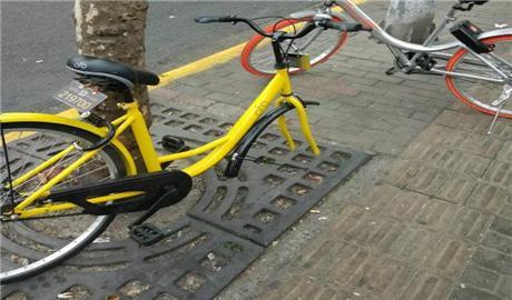 u=3845048418,3004493592&fm=26&gp=0